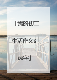 我的初二生活作文600字