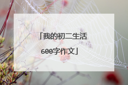 我的初二生活600字作文