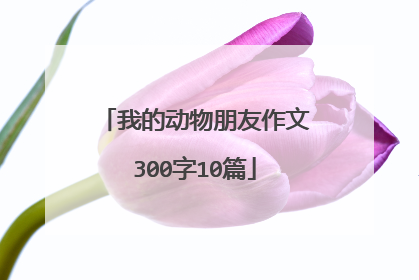 我的动物朋友作文300字10篇