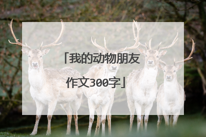 我的动物朋友作文300字