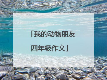 我的动物朋友四年级作文
