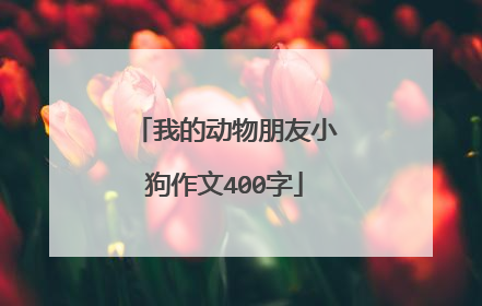 我的动物朋友小狗作文400字