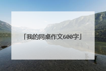 我的同桌作文600字