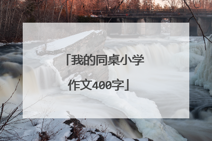 我的同桌小学作文400字