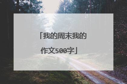 我的周末我的作文500字