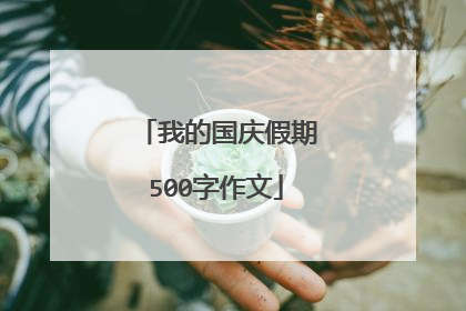 我的国庆假期500字作文