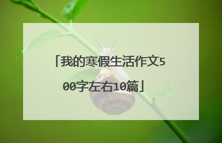 我的寒假生活作文500字左右10篇