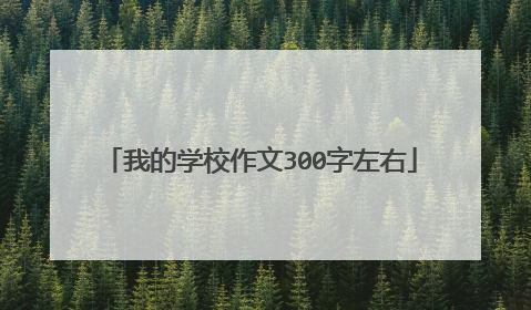 我的学校作文300字左右