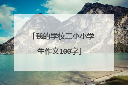 我的学校二小小学生作文100字