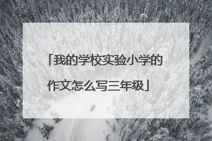 我的学校实验小学的作文怎么写三年级