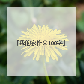 我的家作文100字