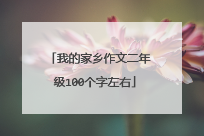 我的家乡作文二年级100个字左右