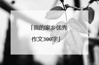 我的家乡优秀作文300字