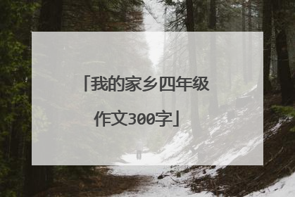 我的家乡四年级作文300字