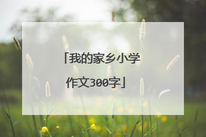 我的家乡小学作文300字