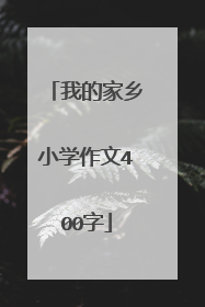 我的家乡小学作文400字