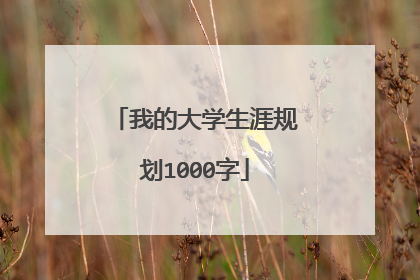 我的大学生涯规划1000字