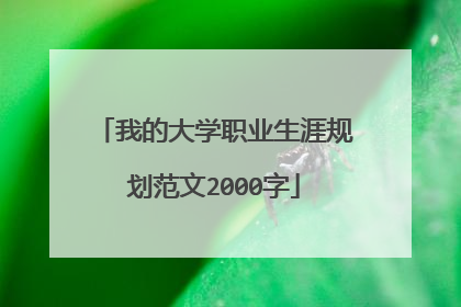 我的大学职业生涯规划范文2000字