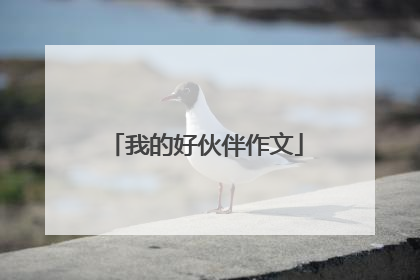 我的好伙伴作文