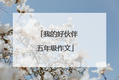 我的好伙伴五年级作文