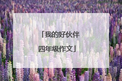 我的好伙伴四年级作文