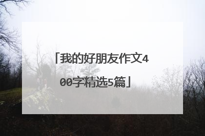 我的好朋友作文400字精选5篇