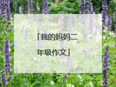 我的妈妈二年级作文