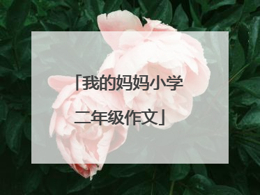 我的妈妈小学二年级作文