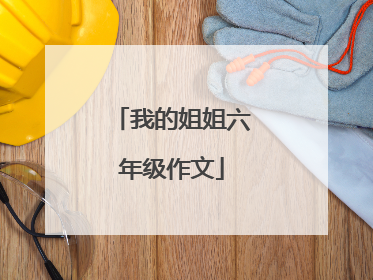 我的姐姐六年级作文