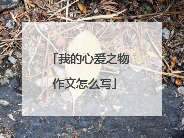 我的心爱之物作文怎么写
