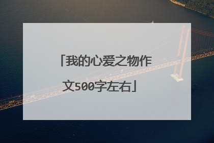 我的心爱之物作文500字左右