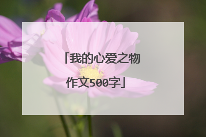 我的心爱之物作文500字
