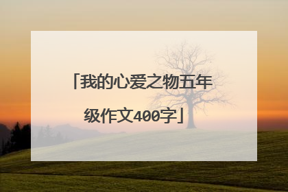 我的心爱之物五年级作文400字