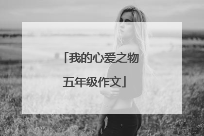 我的心爱之物五年级作文