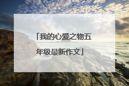 我的心爱之物五年级最新作文