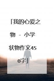 我的心爱之物 - 小学状物作文450字