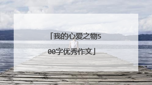 我的心爱之物500字优秀作文