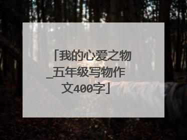 我的心爱之物_五年级写物作文400字