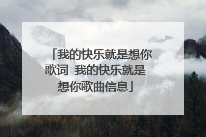我的快乐就是想你歌词 我的快乐就是想你歌曲信息