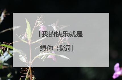我的快乐就是想你 歌词