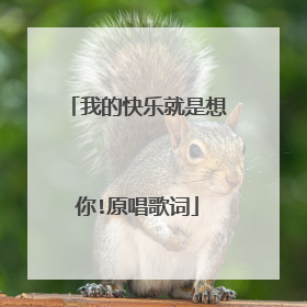 我的快乐就是想你!原唱歌词