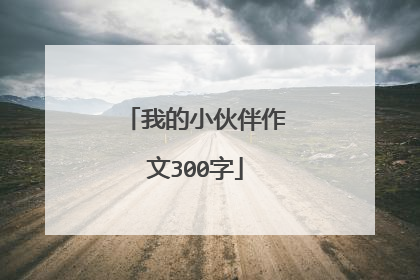 我的小伙伴作文300字