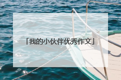 我的小伙伴优秀作文