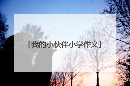 我的小伙伴小学作文