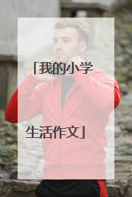 我的小学生活作文