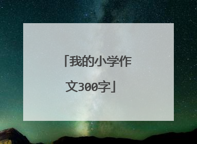 我的小学作文300字