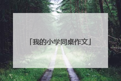 我的小学同桌作文
