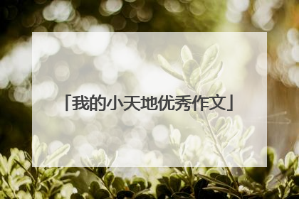 我的小天地优秀作文