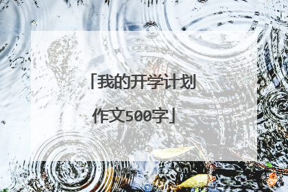 我的开学计划作文500字