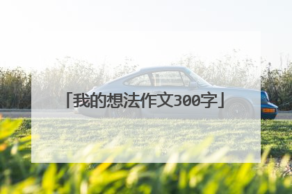 我的想法作文300字